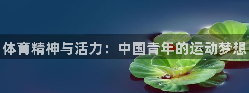 凯发官网下载官方客服电话：体育精神与活力：中国青年的