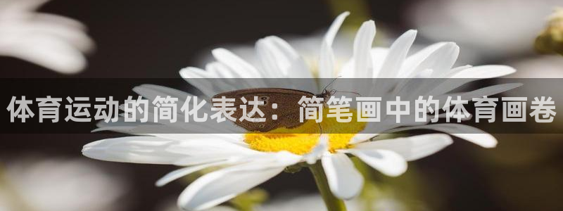 凯发官网下载招商电话是多少：体育运动的简化表达：简笔