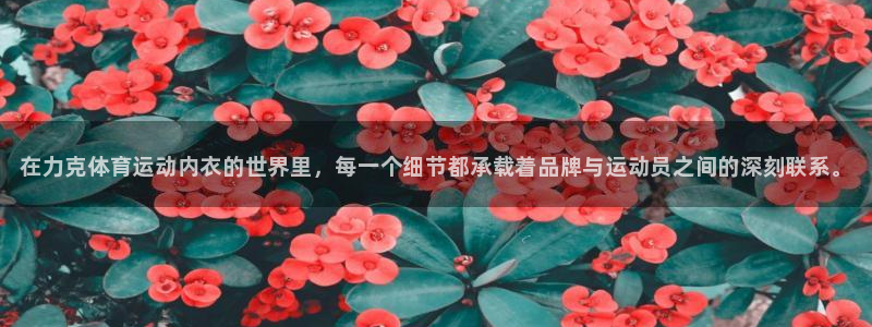 凯发官网下载招商电话地址是多少：在力克体育运动内衣的