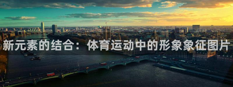 凯发官方正版app娱乐网站：新元素的结合：体育运动中