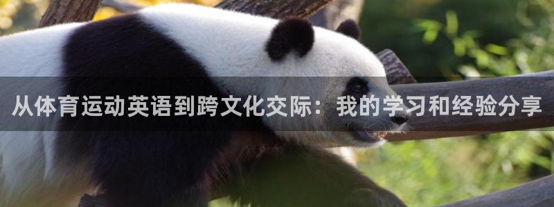 凯发官方正版app五金厂：从体育运动英语到跨文化交际