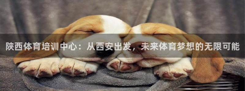 凯发官方正版app娱乐平台：陕西体育培训中心：从西安