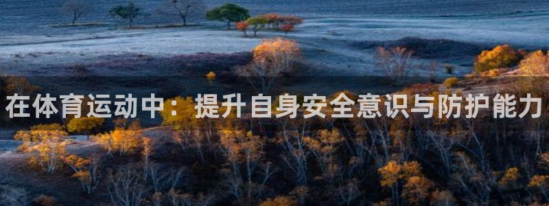 凯发官网下载平台APP：在体育运动中：提升自身安全意