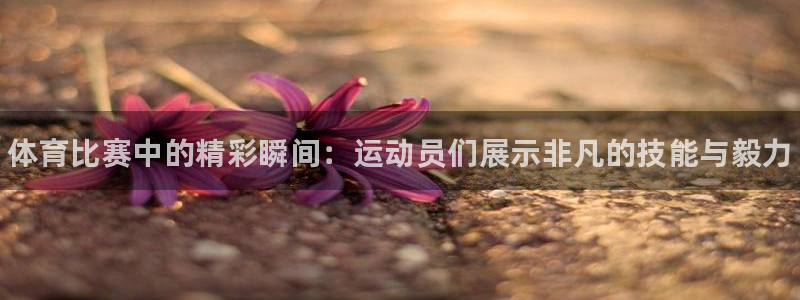 凯发官方正版app娱乐下载：体育比赛中的精彩瞬间：运