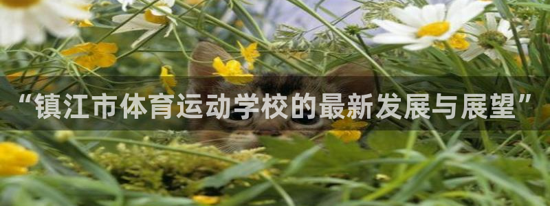凯发官网下载娱乐：“镇江市体育运动学校的最新发展与展