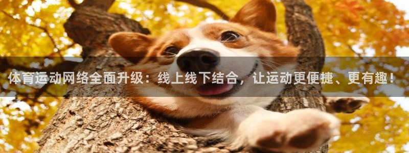 凯发官方正版app娱乐首页网站大全：体育运动网络全面