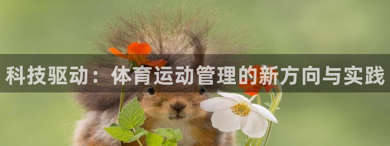 凯发官网下载注册：科技驱动：体育运动管理的新方向与实