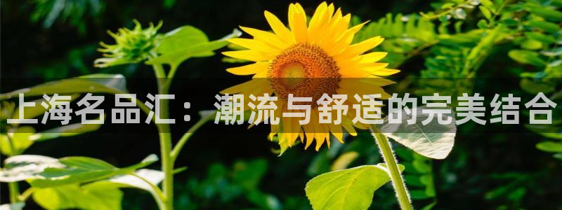凯发官网下载软件：上海名品汇：潮流与舒适的完美结合