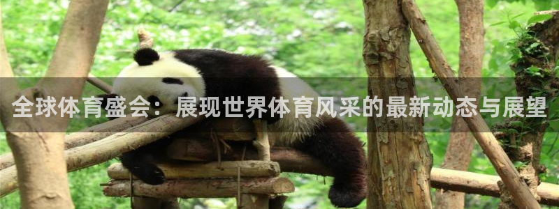 凯发官方正版app娱乐平台：全球体育盛会：展现世界体