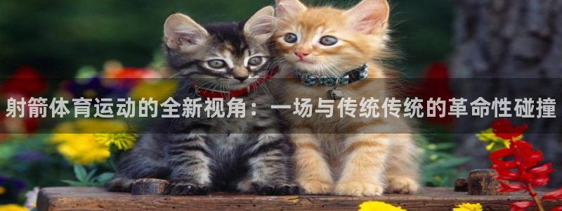 凯发官方正版app集团官网首页网址：射箭体育运动的全
