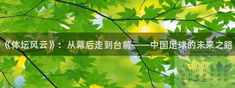 凯发官方正版app娱乐网站：《体坛风云》：从幕后走到