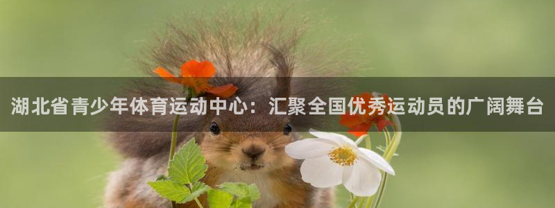 凯发官方正版app娱乐下载：湖北省青少年体育运动中心
