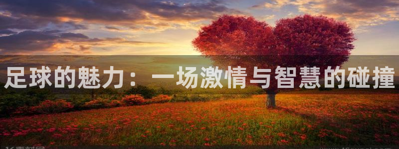 凯发官网下载联系电话：足球的魅力：一场激情与智慧的碰