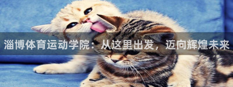 凯发官网下载注册：淄博体育运动学院：从这里出发，迈向