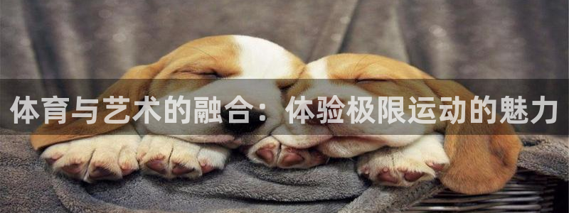 凯发官方正版app新能源：体育与艺术的融合：体验极限