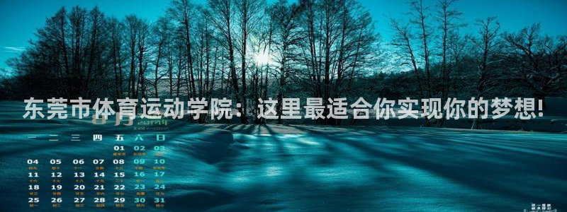 凯发官网下载开户：东莞市体育运动学院：这里最适合你实