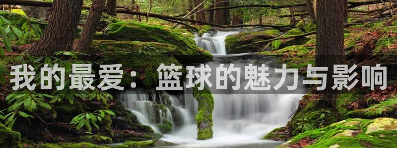 凯发官网下载是干嘛的公司：我的最爱：篮球的魅力与影响