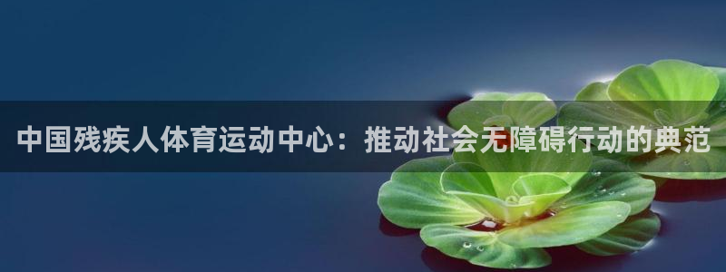 凯发官方正版app官网：中国残疾人体育运动中心：推动社会无障