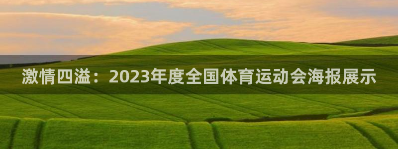 海南凯发官网下载：激情四溢：2023年度全国体育运动会海报展