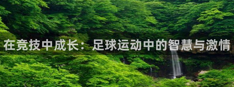 凯发官网下载招商电话地址查询
