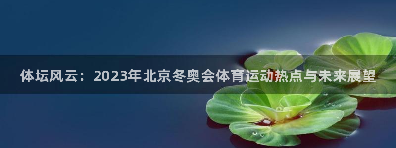 凯发官网下载平台注册要钱吗安全吗：体坛风云：2023年北京冬