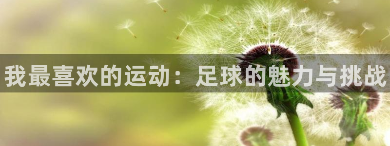 凯发官方正版app娱乐首页网站大全