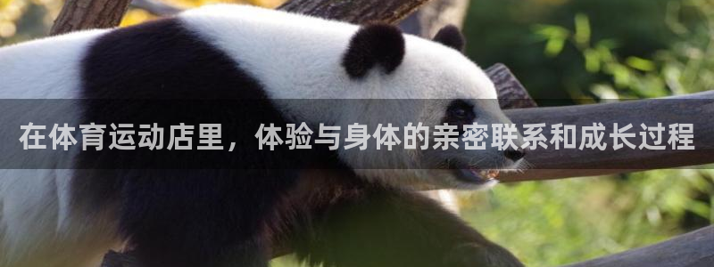 凯发官网下载招商电话号码查询是多少：在体育运动店里，体验与身