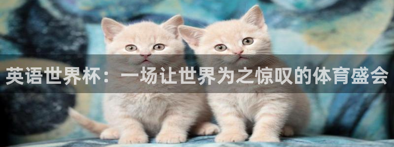 凯发官网下载招商电话号码查询是多少：英语世界杯：一场让世界为
