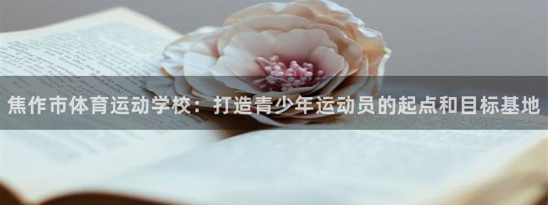 凯发官方正版app集团E.ON：焦作市体育运动学校：打造青少