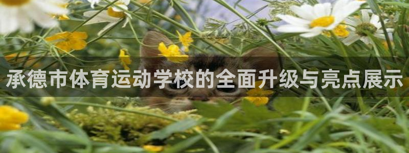 凯发官方集团官网