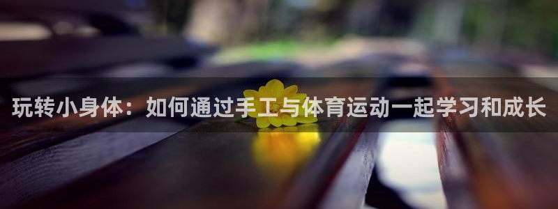 凯发官网下载平台注册流程视频:玩转小身体:如何通过手工与体育