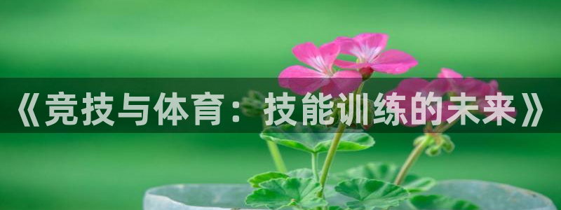 凯发官方平台体育