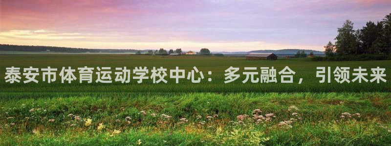 注册凯发官方正版app:泰安市体育运动学校中心:多元融合,引