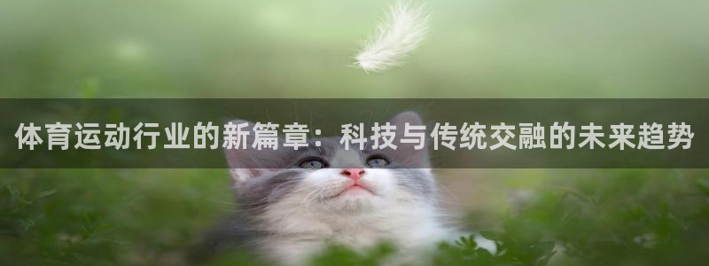 凯发官网下载平台:体育运动行业的新篇章:科技与传统交融的未来