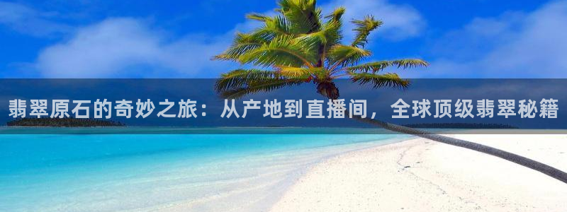 袋鼠在线直播体育
