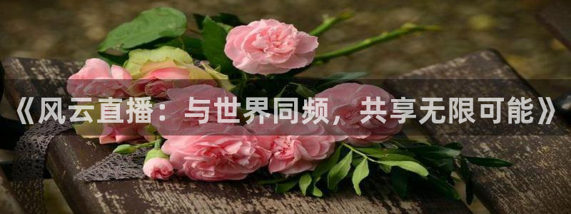 袋鼠nba直播在线观看