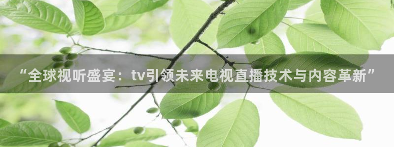 袋鼠体育直播下载：“全球视听盛宴：tv引领未来电视直播技术与内容革新”