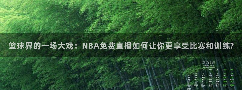 袋鼠体育足球直播：篮球界的一场大戏：NBA免费直播如何让你更享受比赛和训练?