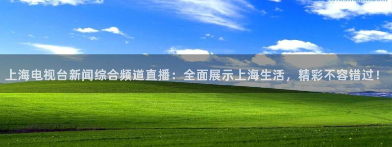 袋鼠直播体育新升级页面.全网通.org：上海电视台新闻综合频道直播：全面展示上海生活，精彩不容错过！