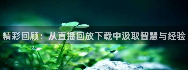 袋鼠直播nba在线观看：精彩回顾：从直播回放下载中汲取智慧与经验