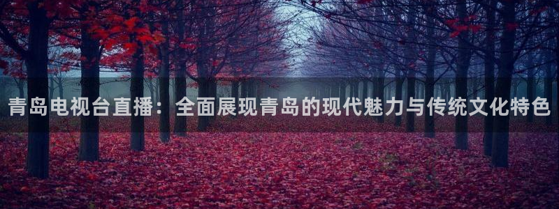 袋鼠足球免费直播：青岛电视台直播：全面展现青岛的现代魅力与传统文化特色